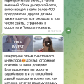 Отзыв о Мошенники и аферисты: Вика Инвест Вика байер