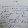 Профессионалы