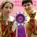 Мошенница Светлана Загуменова Загуменнова Санкт-Петербург