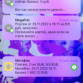 Воры мегафона