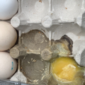 Не качественные продукты