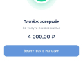 Деньги, которые отдала, агенство отработало, спасибо.