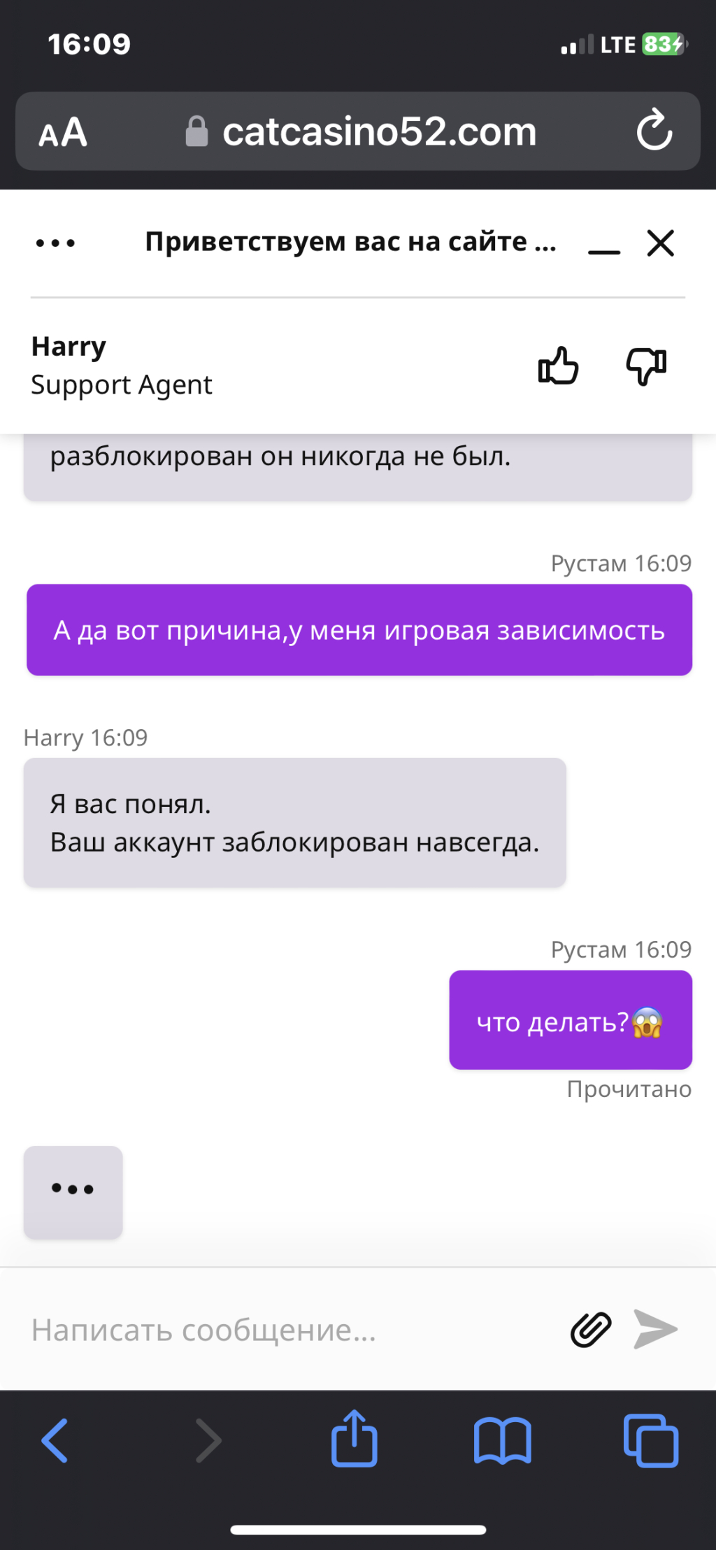 Cat-casino.site - Жестко дурят)