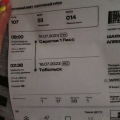 Тараканы в вагоне