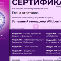 Отзыв о Курс Алины Овсянниковой "С 0 до первых денег на Wildberries": “Успешный менеджер Wildberries” Алины Овсянниковой.
