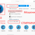Медиа Школа Ольги Спиркиной. Отзывы. Не советую
