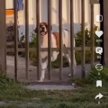 Отзыв о ​Yappy (Яппи) социальная сеть: Принять участие в марафоне Yappy было интересно
