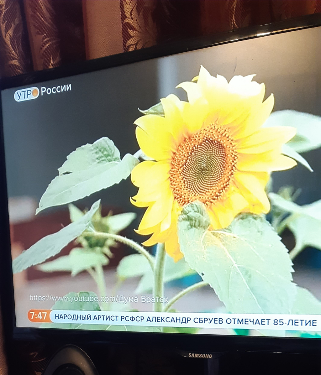 Россия 1 - Поздравление Збруеву А.В.