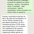 Flomania24