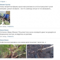 Магазин Беккер Россия- мошенники