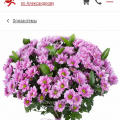 Отзыв о Служба доставки цветов Flowers-Sib: Не рекомендую