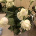 Отзыв о Служба доставки цветов Flowers-Sib: НЕ рекомендую