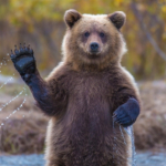 Семен