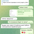 Дура тупая
