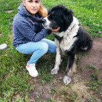 Darina