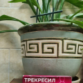 Пропила в ноябре курс. По итогу что.