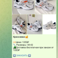 Дура тупая