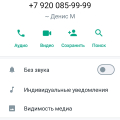 Отзыв о Мошенник: Мошенник Медников Денис Владимирович +79200859999 89200859999