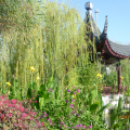 Сказочное путешествие в Турцию. Октябрь 2019