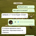 Взял деньги, а работу не сделал , то проблема какая-то вообщем п@дараст