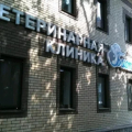Отзыв о Ветеринарная клиника Биота: Ветеринарная клиника